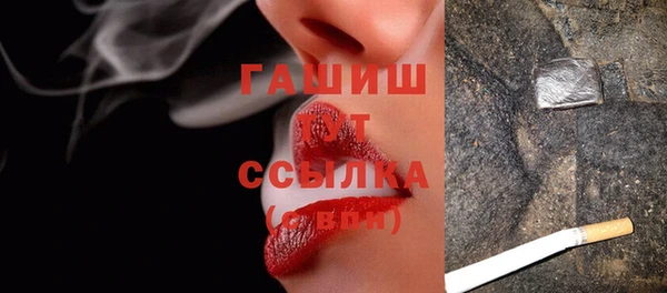 МДПВ Каменка
