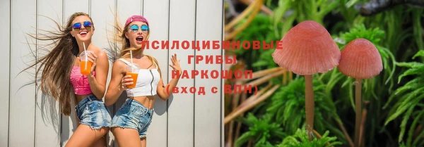 винт Каменск-Шахтинский