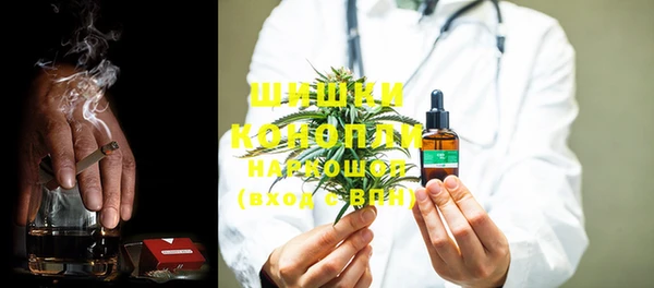 МДПВ Каменка