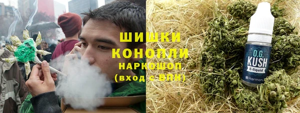 МДПВ Каменка