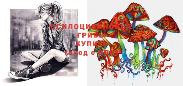 МДПВ Каменка