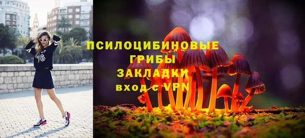 МДПВ Каменка